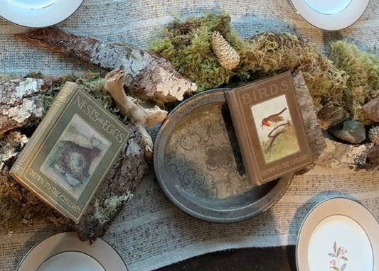 A styled tabletop arrangement featuring vintage-style books with illustrated covers, moss, bark, stones, and ceramic plates on a textured fabric surface.