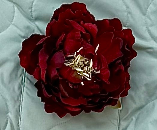 Burgundy peony flower pin, about 6 inches across, on a sage quilted jacket