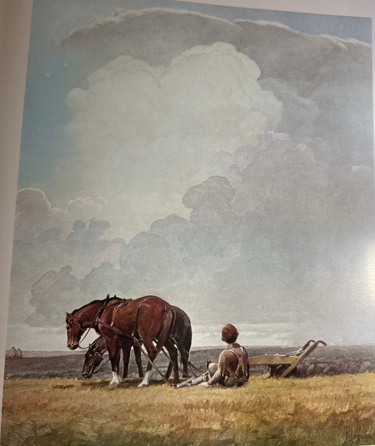 Francis Lee Jaques wildlife art book by Florence Page Jaques, Doubleday 1973, detail