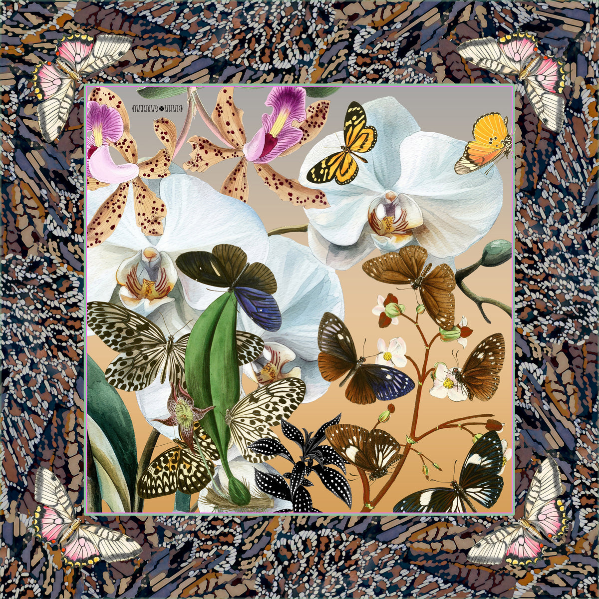 Wild Abandonment 21 inch silk scarf by Diana Garreau with white orchids and butterflies, navy and rust border