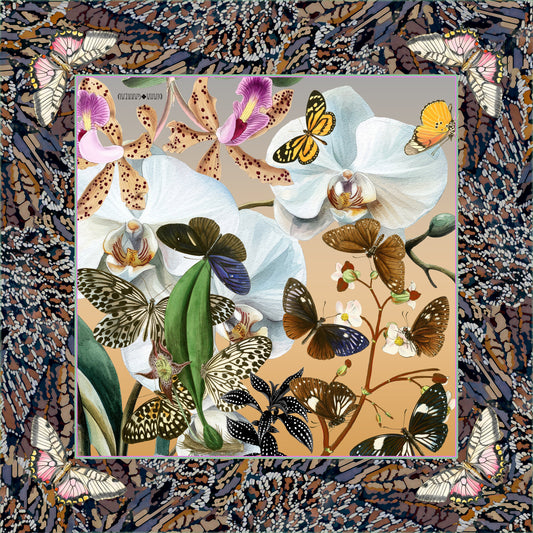 Wild Abandonment 21 inch silk scarf by Diana Garreau with white orchids and butterflies, navy and rust border